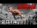 Street Workout World Championship 2014