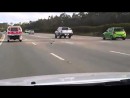Taube auf der Autobahn