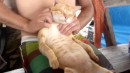 Thai Cat Massage