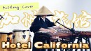 The Eagles - Hotel California - Guzheng Cover