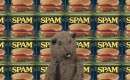 The History of SPAM