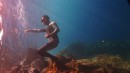 The Ocean Brothers: Freedive