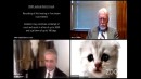 Videokonferenz mit Katzenfilter