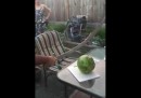 Wassermelone schneiden LIKE A BOSS?