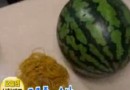 Wassermelone vs. Gummis