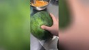 Weiche Wassermelone