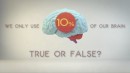Wieviel Prozent des Gehirns nutzt der Mensch?