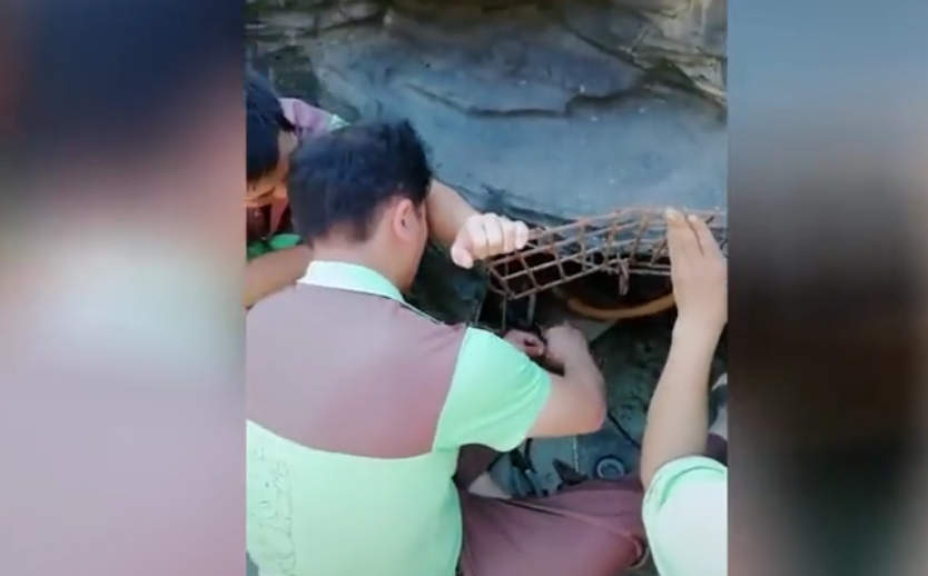 Handwerker im Haus - Video auf bildschirmarbeiter.com