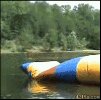 Animated Gifs #15