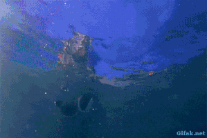 Animated Gifs #197