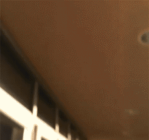 Animated Gifs #197