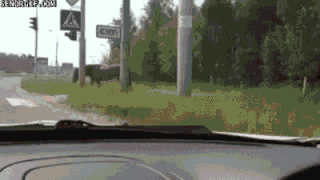 Animated Gifs #203