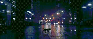 Animated Gifs #218