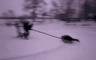 Animated Gifs #224