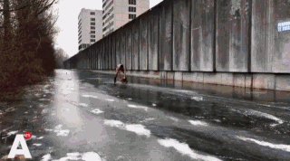 Animated Gifs #261