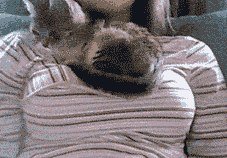 Animated Gifs #62