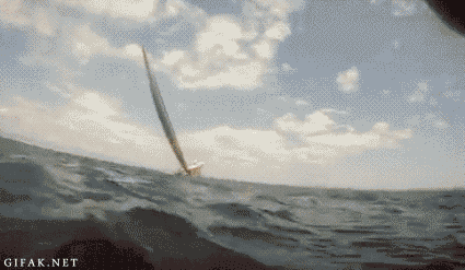 Animated Gifs #82