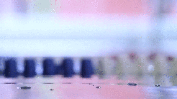 Animated Gifs #146