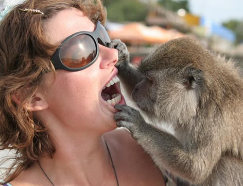 b:a - picdump 26.12.06