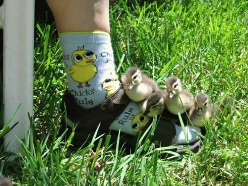 b:a - picdump 26.12.06