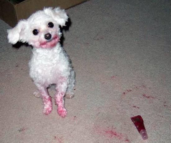 b:a - picdump 15.02.07