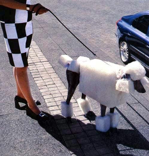 b:a - picdump 15.02.07