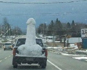 b:a - picdump 15.02.07