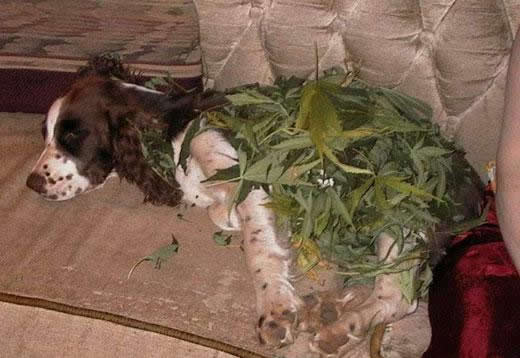 b:a - MEGA - picdump 15.03.07