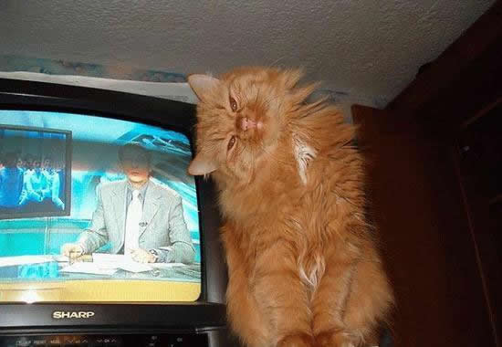 b:a - MEGA - picdump 15.03.07