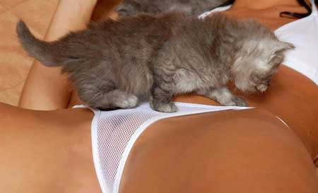 b:a - MEGA - picdump 15.03.07