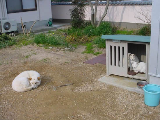 b:a - MEGA - picdump 15.03.07