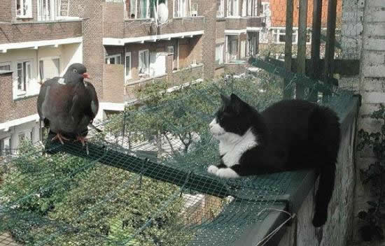 b:a - MEGA - picdump 15.03.07