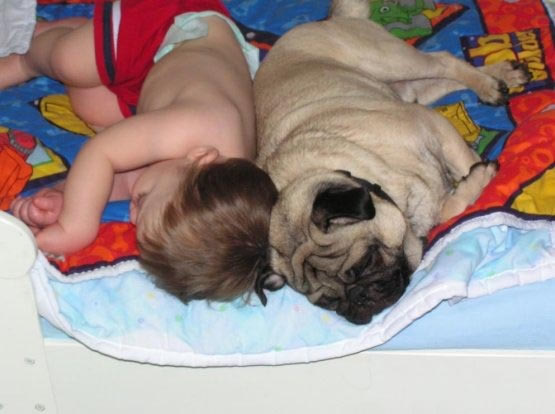 b:a - MEGA - picdump 15.03.07