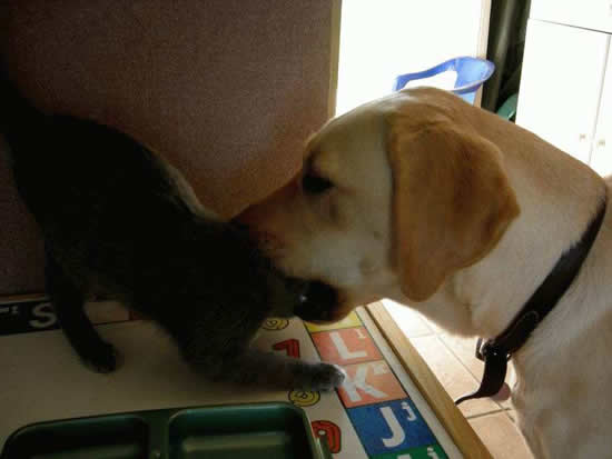 b:a - MEGA - picdump 15.03.07