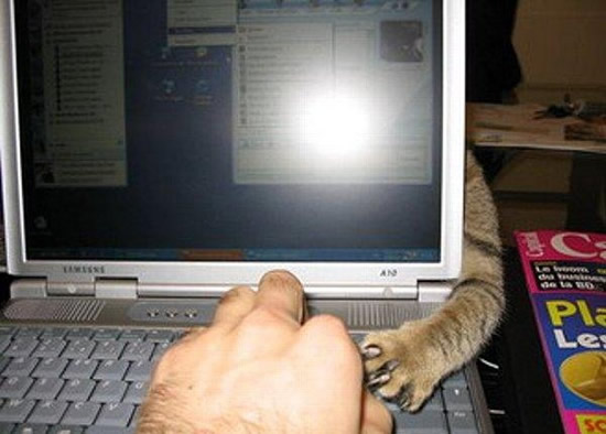 b:a - picdump 25.03.07