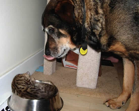 b:a - picdump 10.04.07