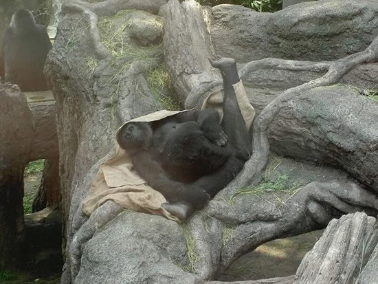 b:a - picdump 10.04.07