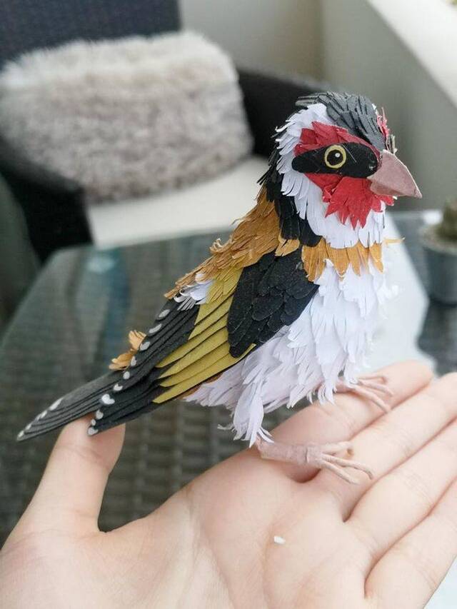 Alles kann Kunst sein