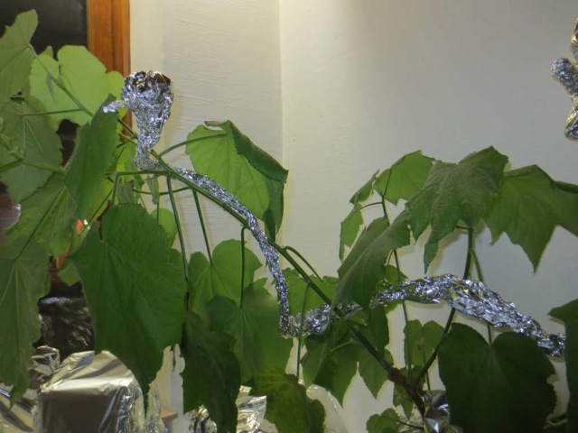 Alu - Verpackungsaktion