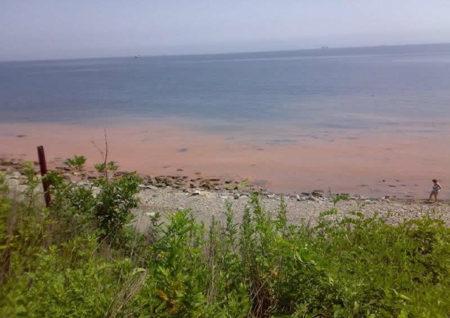 Assi - Strand in Russland