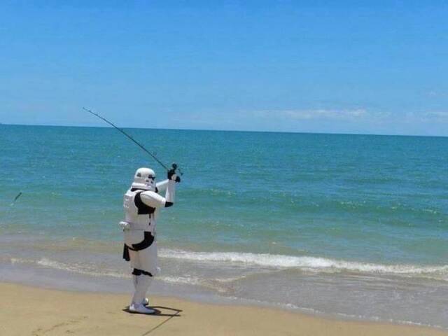 Bildschirmarbeiter - Picdump KW29 2020