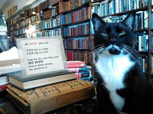 Bildschirmarbeiter - Picdump KW29 2020