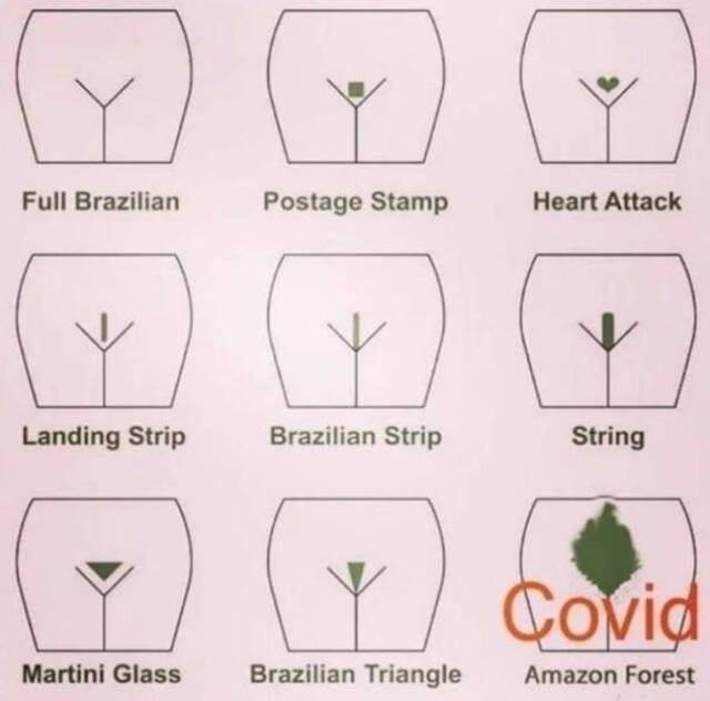 Bildschirmarbeiter - Picdump KW29 2020