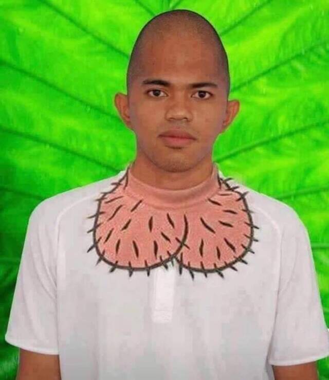 Bildschirmarbeiter - Picdump KW29 2020