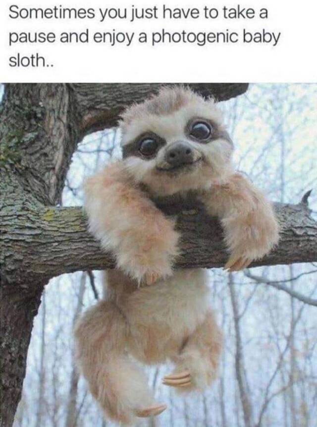 Bildschirmarbeiter - Picdump KW29 2020