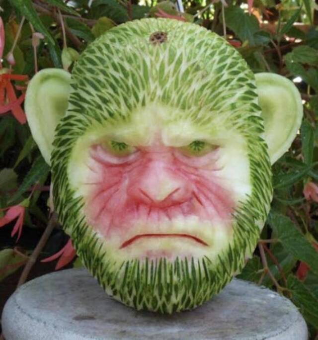 Bildschirmarbeiter - Picdump KW29 2020