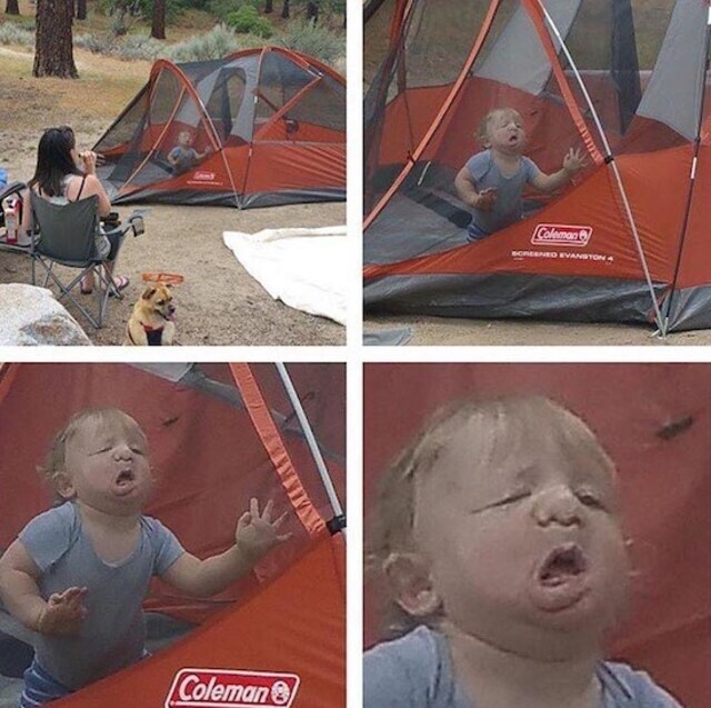 Bildschirmarbeiter - Picdump KW29 2020