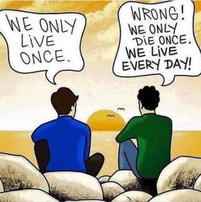 Bildschirmarbeiter - Picdump KW29 2020