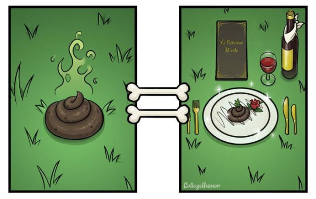 Die Welt aus Hundesicht