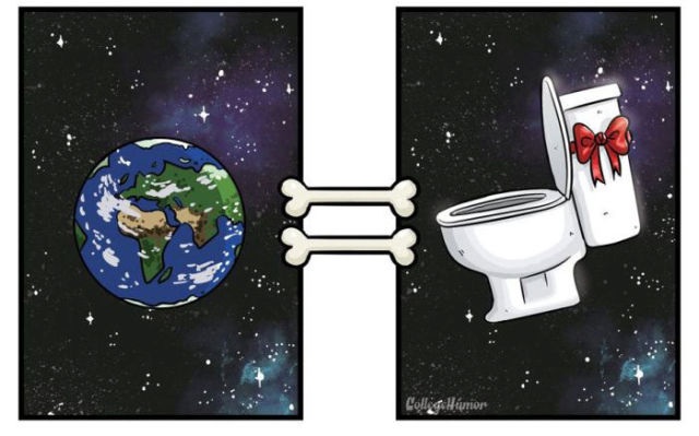 Die Welt aus Hundesicht